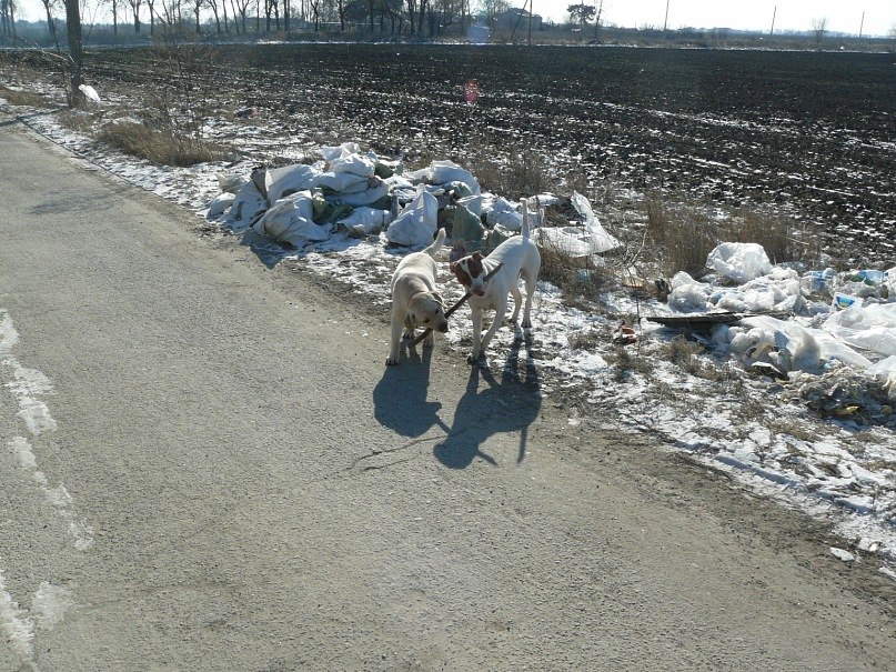 Инна Ошовская | Одесса
