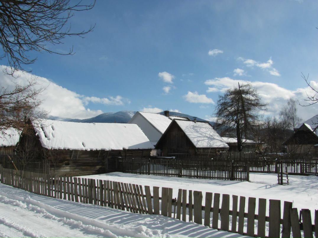 Наталья Жуковень | Минск