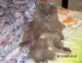 Виталий Несторяк фотография #11 (источник - https://vk.com/id54598011)