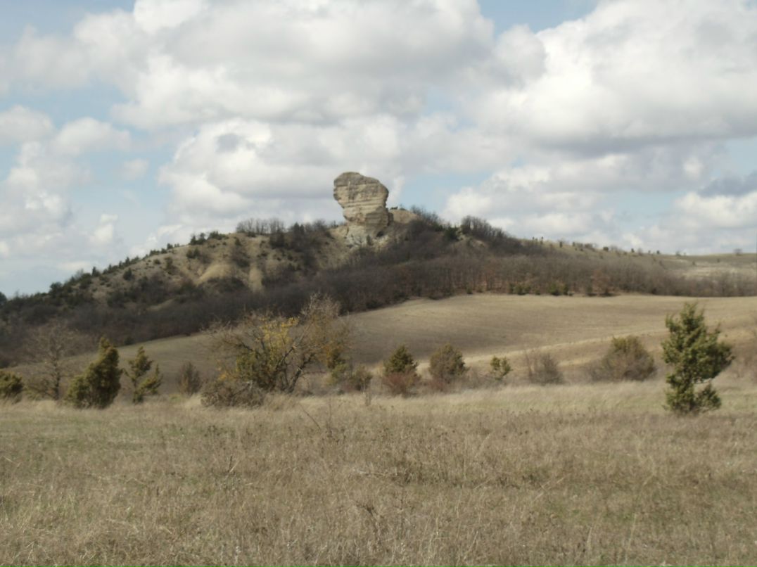 Татьяна Бархатова | Москва