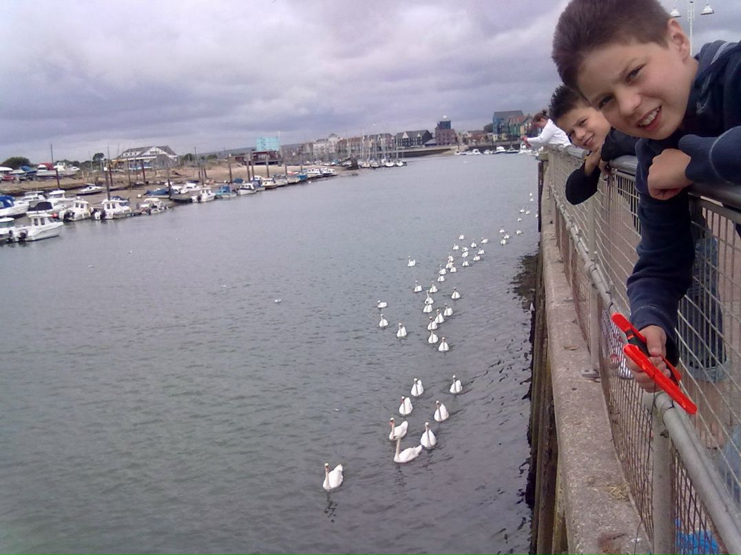 Андрей Коцур | Минск