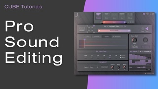 CUBE Tutorials - Advanced Sound Editors