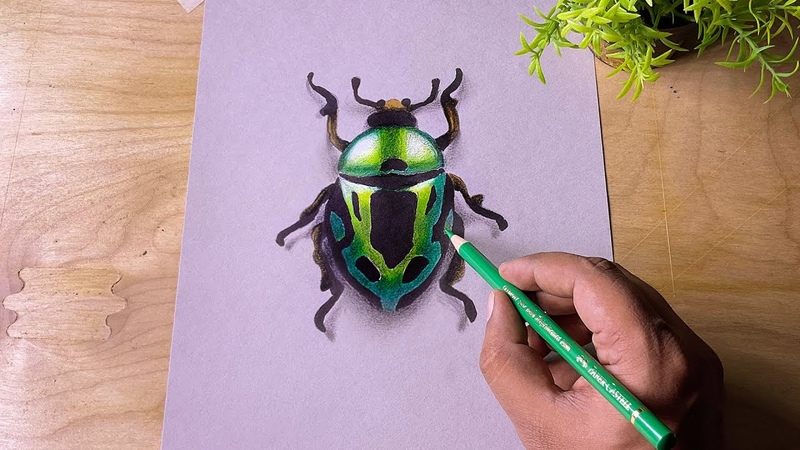 jewel beetle Drawing timelapse polychromos and ohuhu