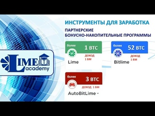 Lime Academy – это международная экосистема.