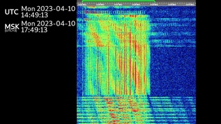 The Buzzer/UVB-76(4625Khz) April 10th, 2023 Voice messages