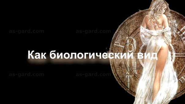 Ас Гард. Нас жёстко обманули.