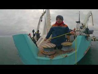 VR погружение в Арктику