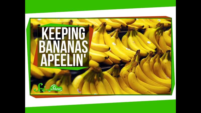 Keeping Bananas