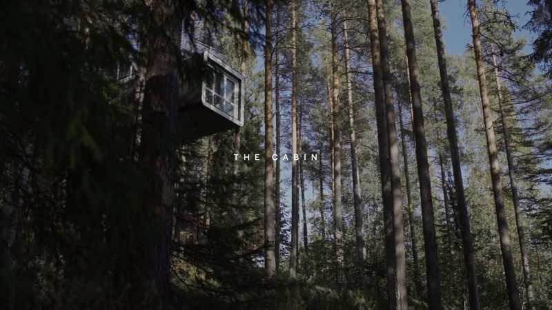 Treehotel The