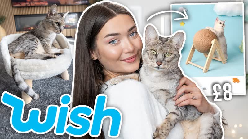 TRYING WEIRD CAT GADGETS FROM