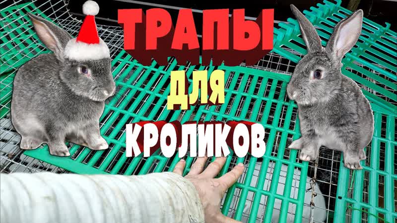 Трапы для кроликов, Какие выбрал