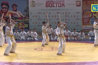 Фестиваль единоборств в ДС Восток 30 04 15