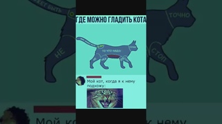 Где можно гладить кота😁