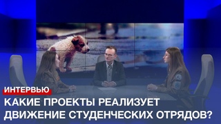 Какие проекты реализует в Севастополе движение студенческих отрядов