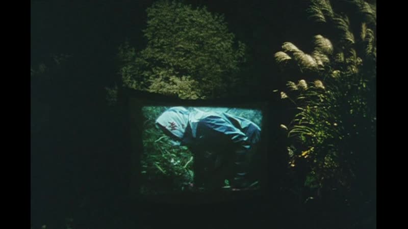 Memories of Agano (阿賀の記憶, Aga no kioku), Makoto Satō,
