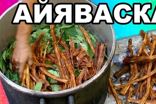 Айяуаска/Аяуаска/Айяваска/Аяхуаска