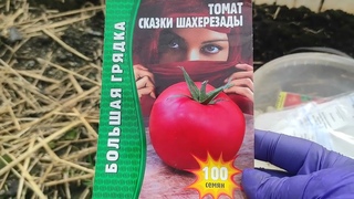 ВЛОГ /26 марта - 5 апреля/ Первые посевы в теплице/ Посев томатов в грунт/ Рассада в теплице при -1.