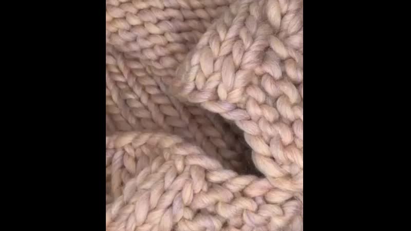 Nit_alpaca-15990370691801.mp4