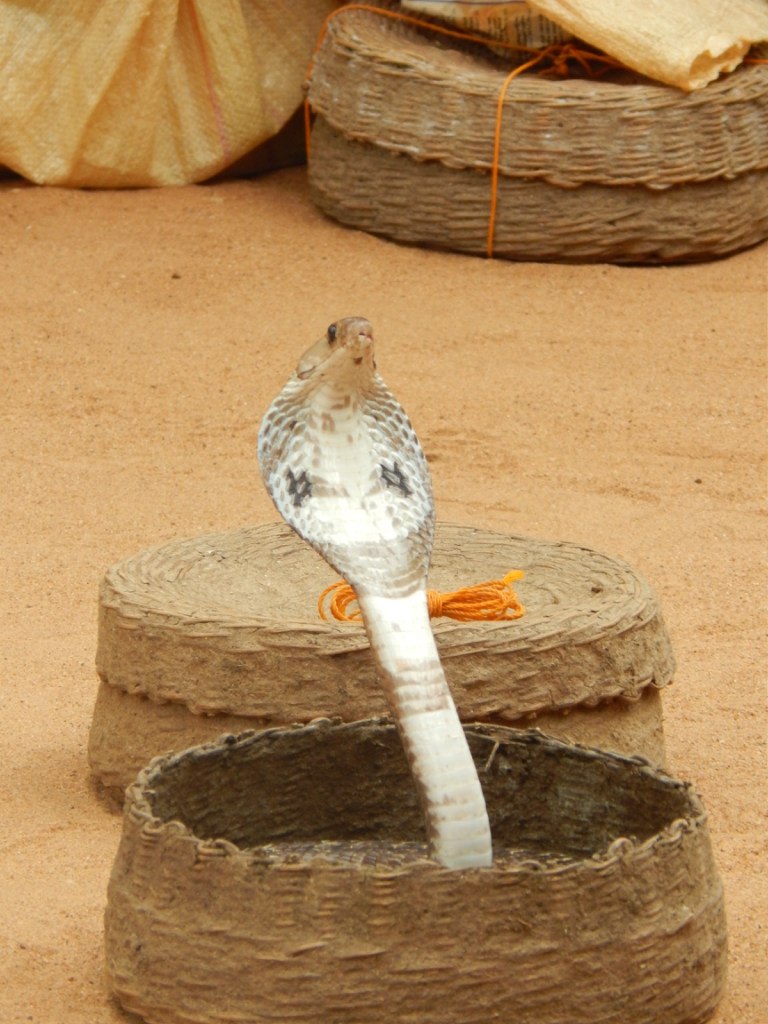 Сергей Шевцов | Жлобин