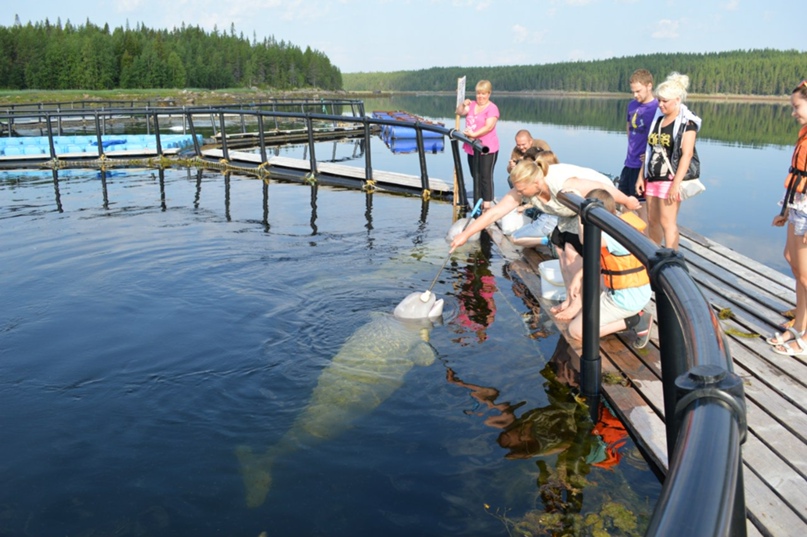 Оксана Лукина | Петрозаводск