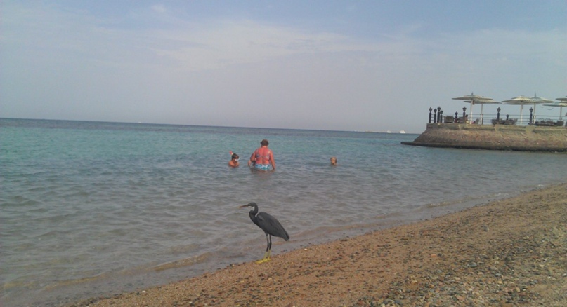 Дима Кузьмичев | Санкт-Петербург