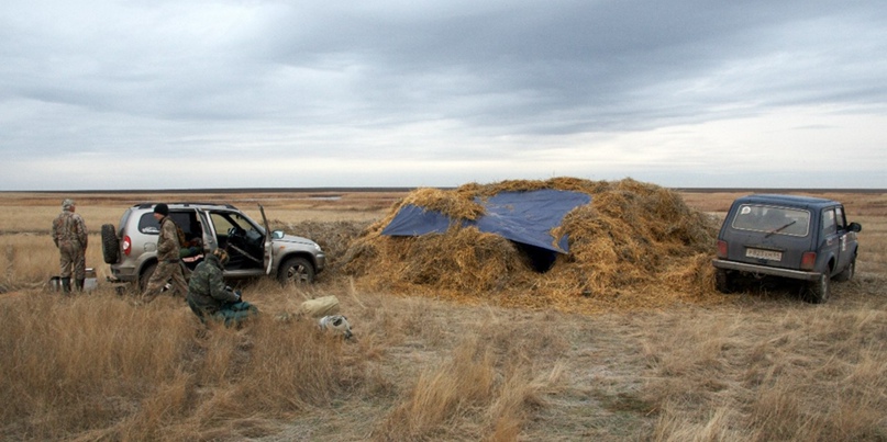 Роман Илюков | Саратов