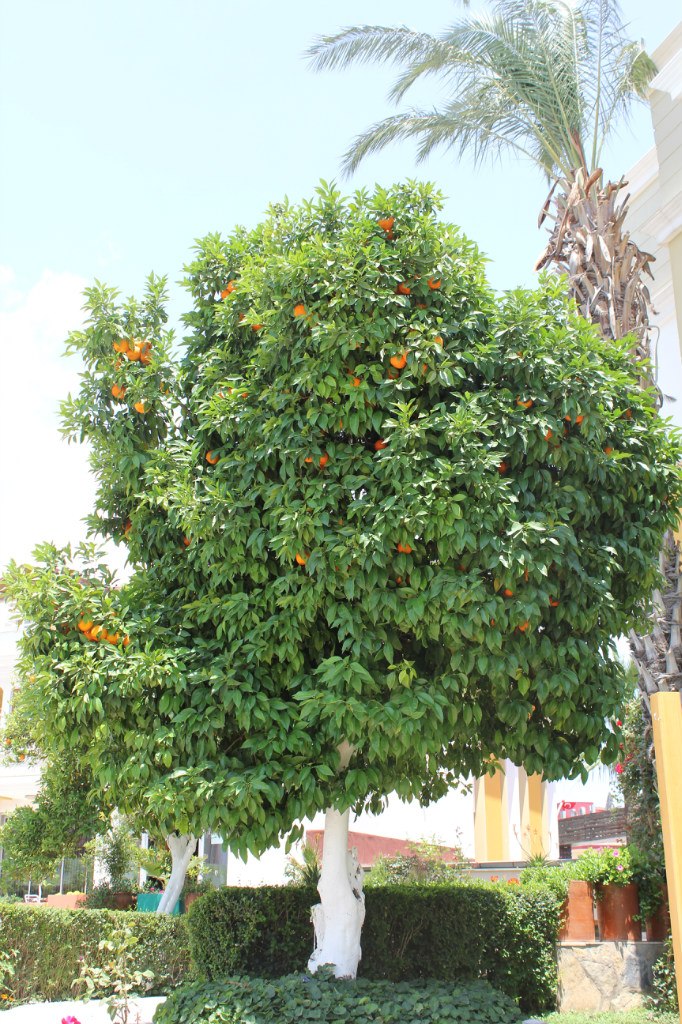 Юлия Кудрявцева | Новокузнецк