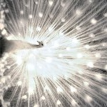 Кира Лебедева | Алматы