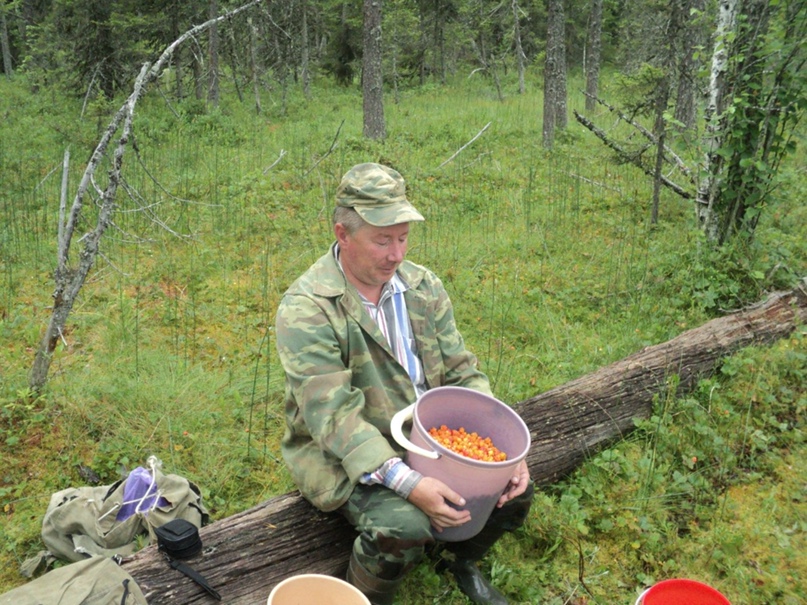 Михаил Воеводин | Андомский Погост