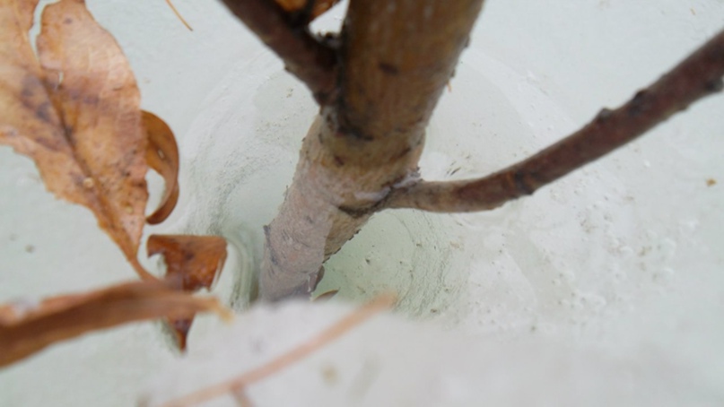 Анна Харченко | Иркутск