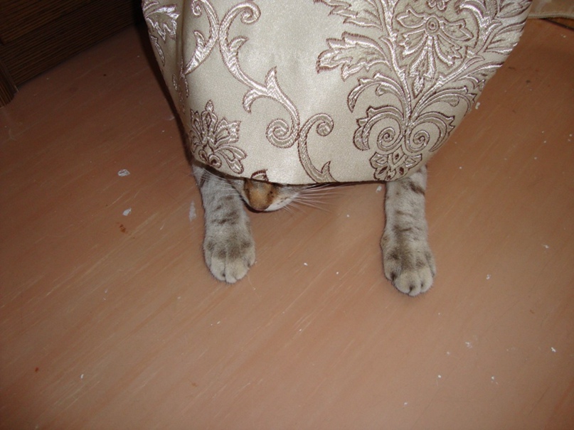 Елена Громакова | Москва