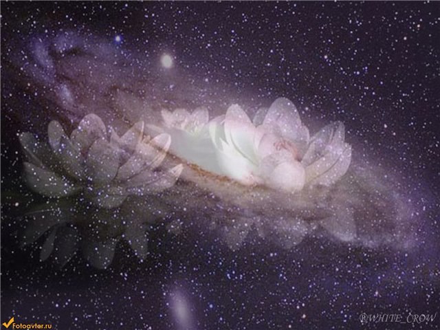 Лена Корчагина |