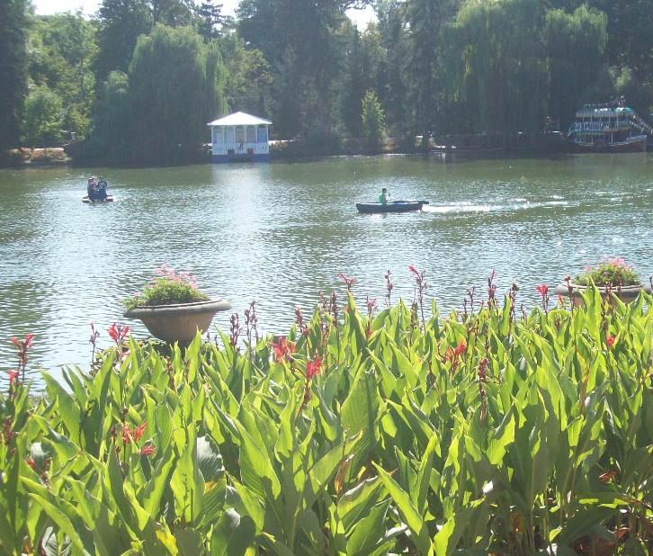 Сергей Лысенко | Кременчуг