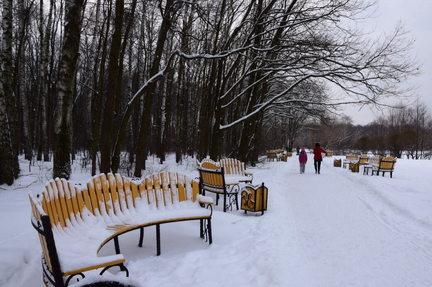 парк терлецкий москва