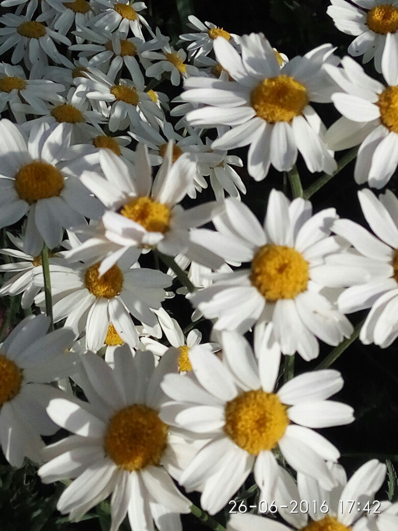 Оксана Борисова | Самара