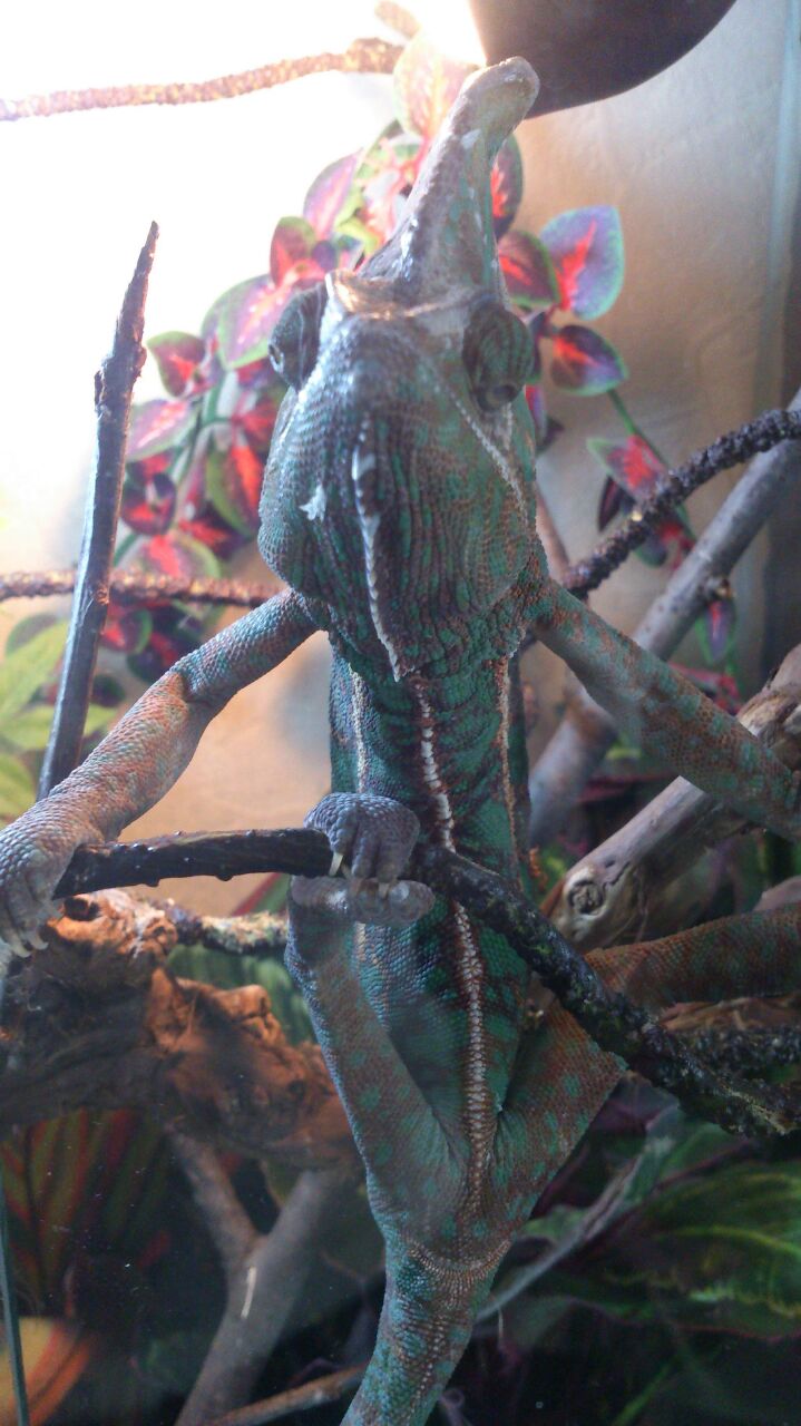 Игорь Трубчанинов | Щелково