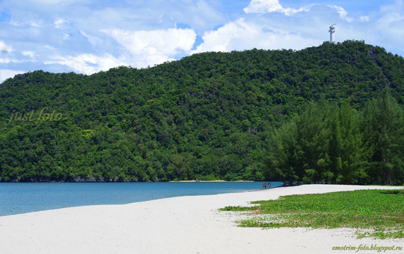Андрей Снигирев | Санкт-Петербург