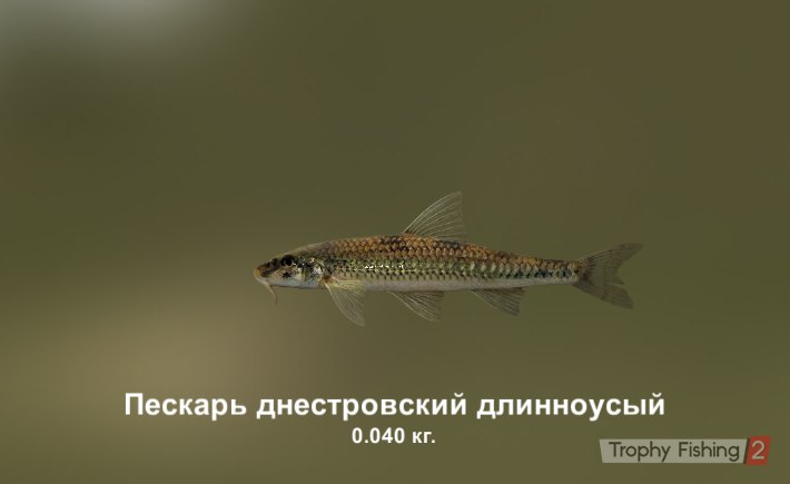 Евгений Черников | Москва