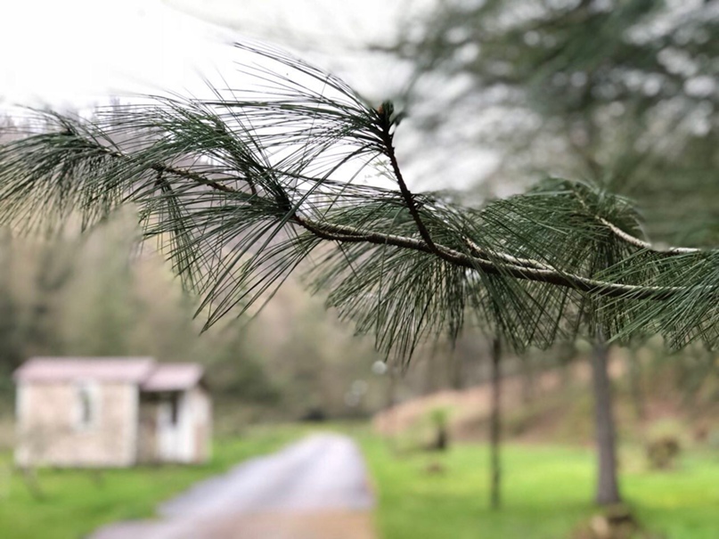 Светлана Пугина Александровна | Пушкино