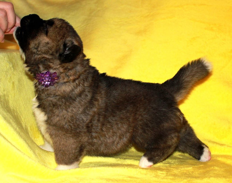 Ольга Загороднева | Пермь