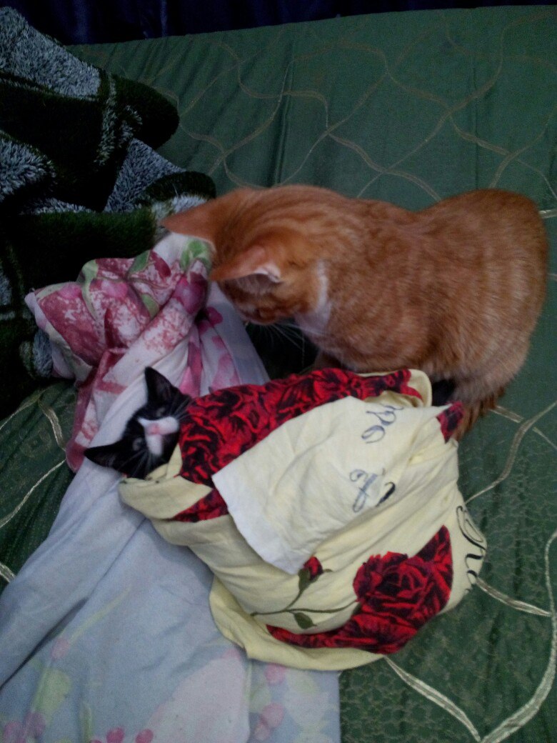 Оксаночка Владимировна | Мурманск