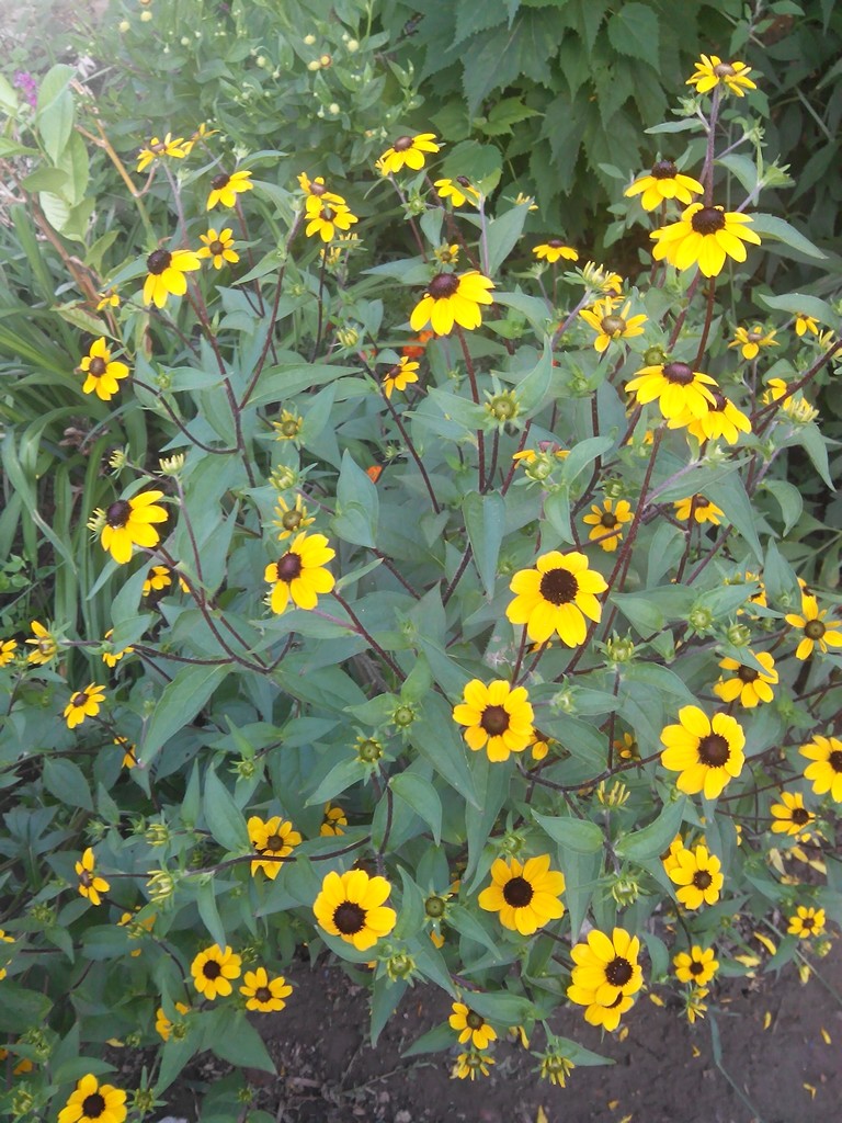 Ирина Евсеева | Астрахань