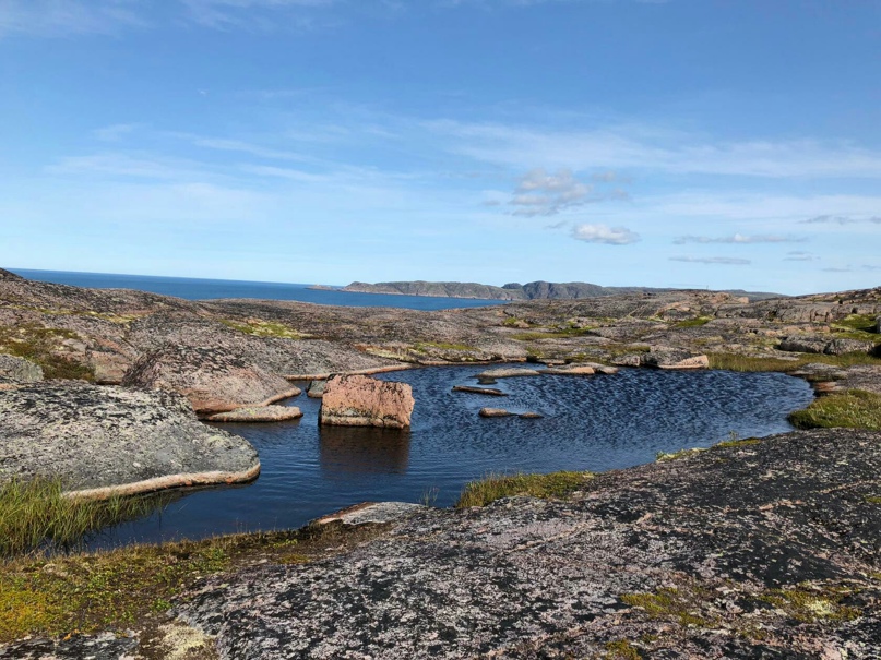 Светлана Дроздова | Омск