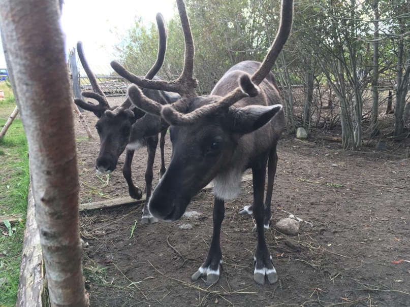 Дмитрий Храпов | Москва