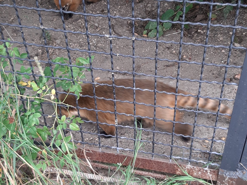 Анастасия Власова | Мурманск