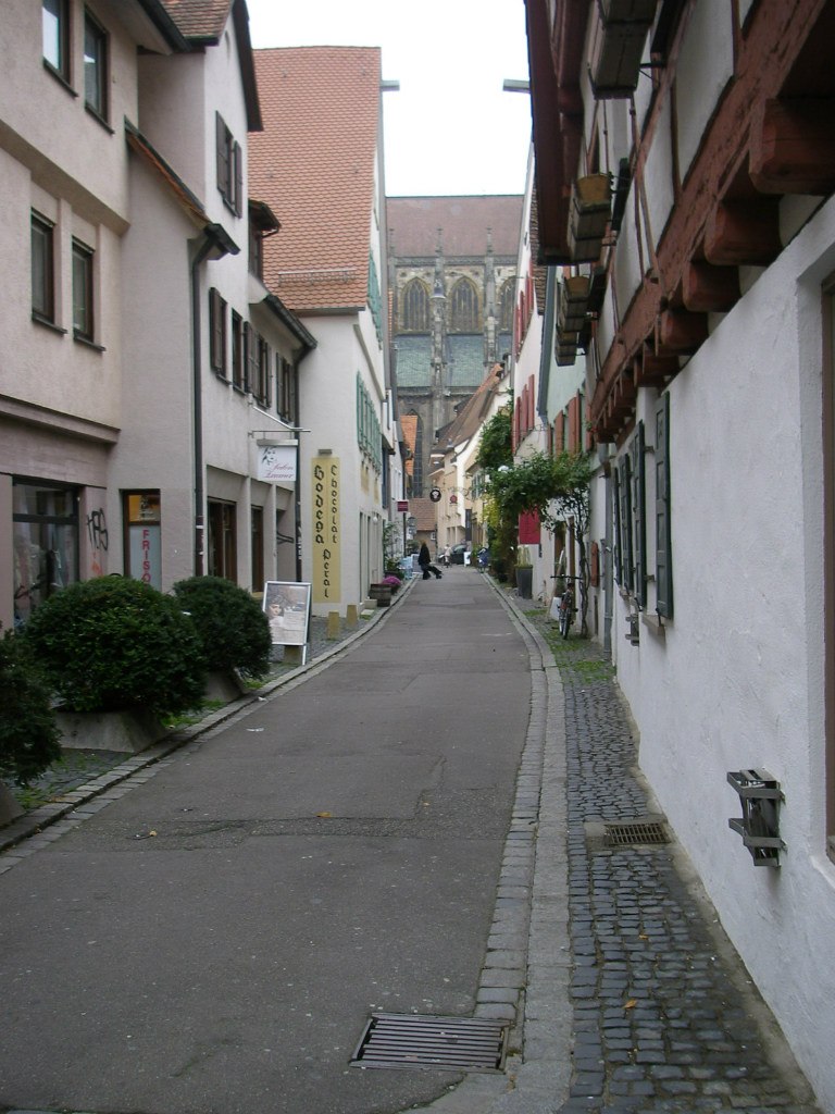 Ирина Машкова | Черноголовка