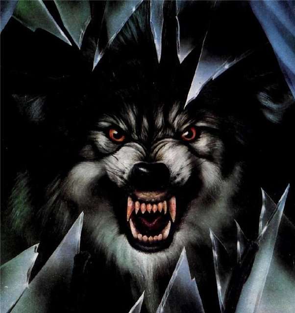 Сергей Крашенинников | Пенза