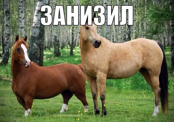 Юрий Климов | Екатеринбург