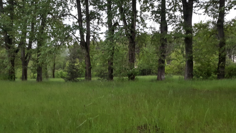 Вячеслав Строгинский | Москва