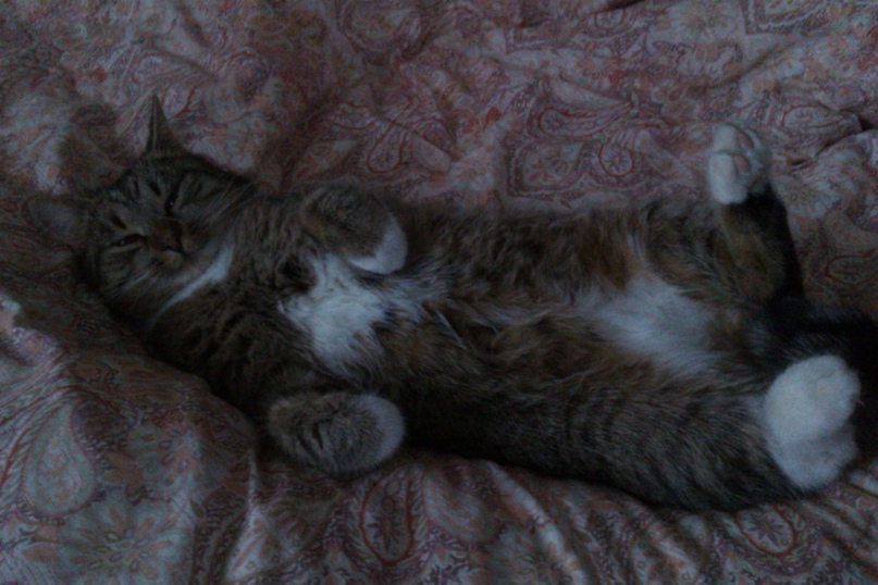 Макс Цветков | Санкт-Петербург